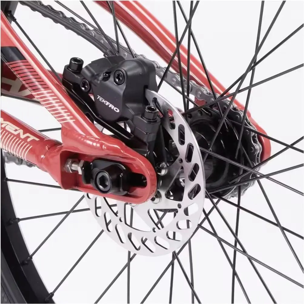 BMX Race Chase Element Pro XXL Rouge 2024 JARDINS LOISIRS