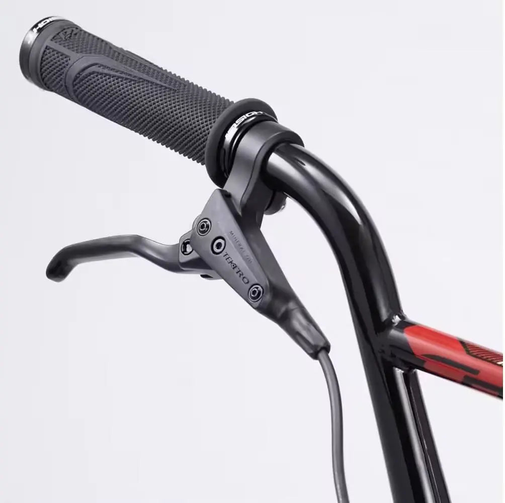 BMX Race Chase Element Pro XXL Rouge 2024 JARDINS LOISIRS