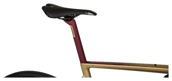 Gravel Bike Colnago G3-X Shimano GRX 11V 700 mm Or 2022 JARDINS LOISIRS