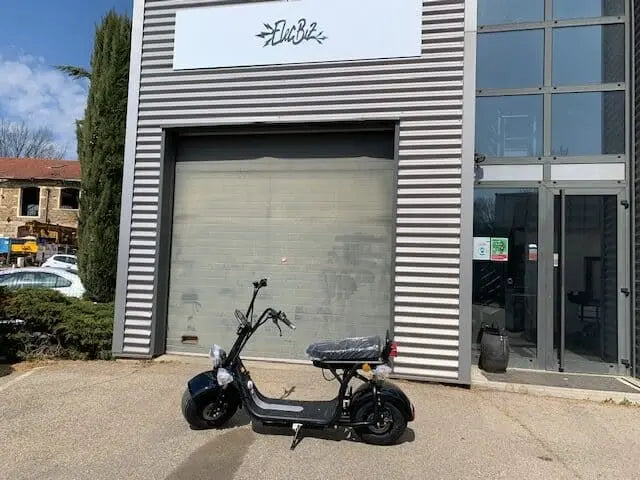 Scooter Electrique CityCoco 1500W type Harley JARDINS LOISIRS