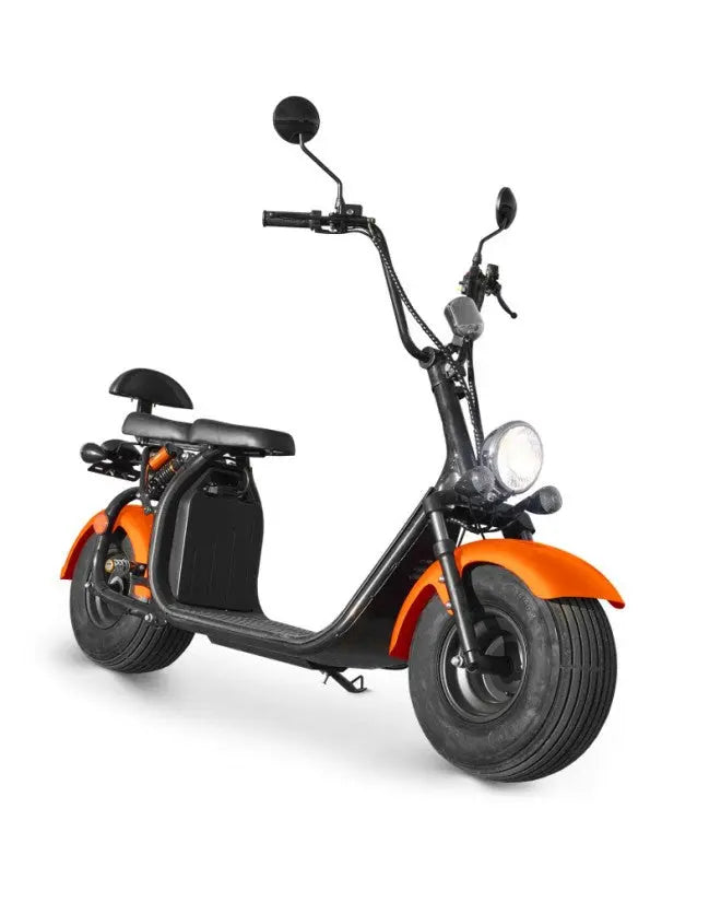 Scooter Trottinette Electrique Homologuée 1500W CITYCOCO JARDINS LOISIRS