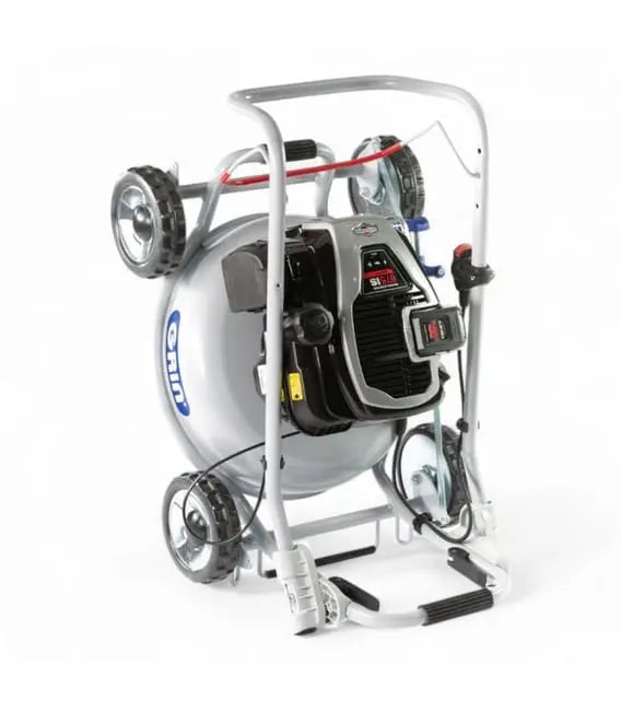 Tondeuse thermique 46cm, mulching pulvérisateur sans bac, démarrage électrique JARDINS LOISIRS