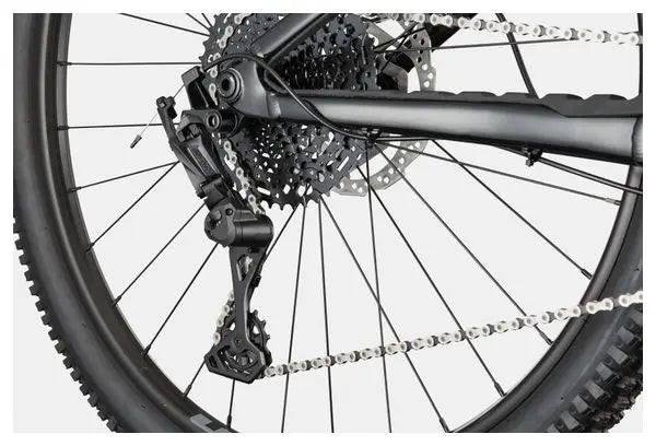 VTT Semi-Rigide Cannondale Habit HT 3 MicroShift Advent X 10V 29'' Noir JARDINS LOISIRS