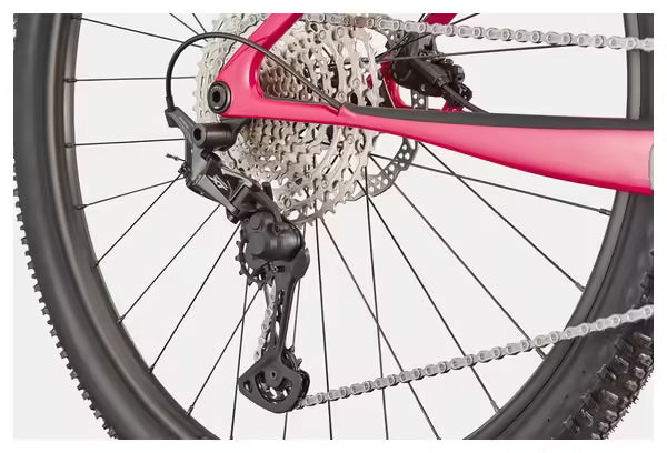 VTT Semi-Rigide Cannondale Scalpel HT Carbon 4 Shimano XT/Deore 12V 29'' Rose 2025 VERTS LOISIRS