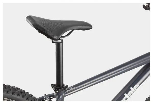 VTT Semi-Rigide Cannondale Trail 6 29 Shimano Alivio/Altus 9V 29'' Gris Slate JARDINS LOISIRS