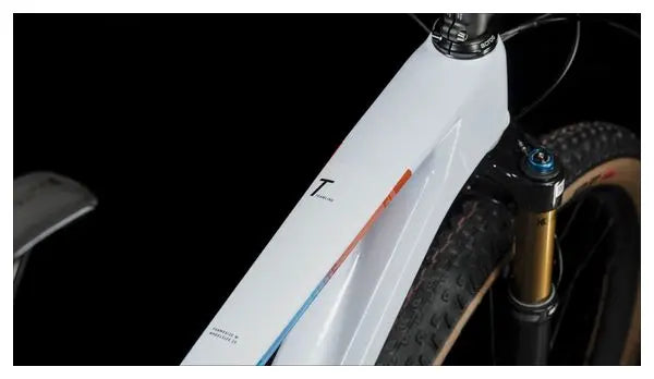 VTT Semi-Rigide Cube Elite C:68X SLX Shimano XTR 12V 29'' Gris Bleu Teamline JARDINS LOISIRS