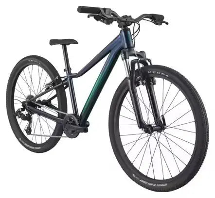 VTT Semi-Rigide Enfant Cannondale Trail 24'' Microshift 8V Bleu JARDINS LOISIRS