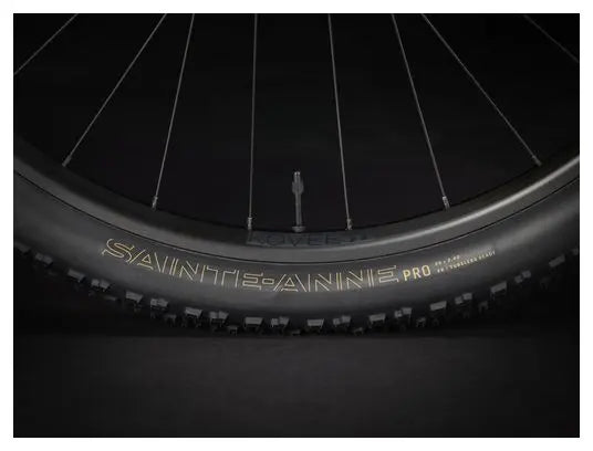 VTT Semi Rigide Trek Procaliber 8 29'' Shimano SLX/XT 12V Gris 2025 JARDINS LOISIRS