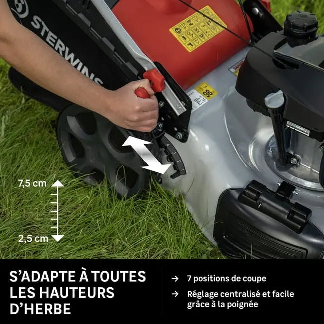 Tondeuse thermique STERWINS , 167 cm³, l.51 cm JARDINS LOISIRS