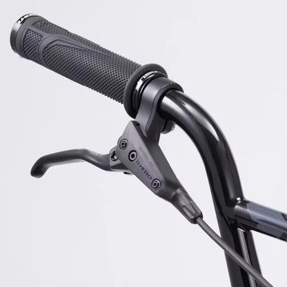 BMX Race Chase Element Pro XL Noir 2024 JARDINS LOISIRS