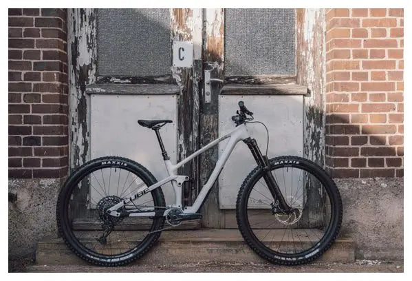 Cube VTT Tout-Suspendu Cube Stereo One55 C:62 Race Sram GX/NX Eagle 12V 29'' Gris Light 2024 JARDINS LOISIRS
