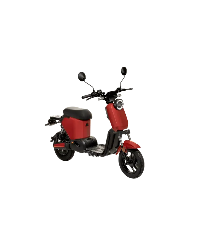 Scooter électrique Jonway Y22 JARDINS LOISIRS