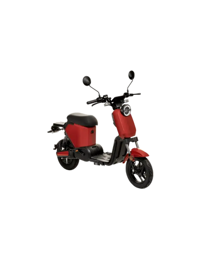 Scooter électrique Jonway Y22 JARDINS LOISIRS