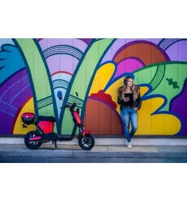 Scooter électrique Jonway Y22 JARDINS LOISIRS