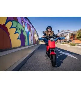 Scooter électrique Jonway Y22 JARDINS LOISIRS