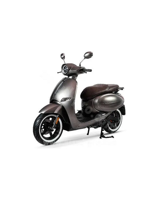 Scooter électrique Lvneng S6 60V 63AH JARDINS LOISIRS