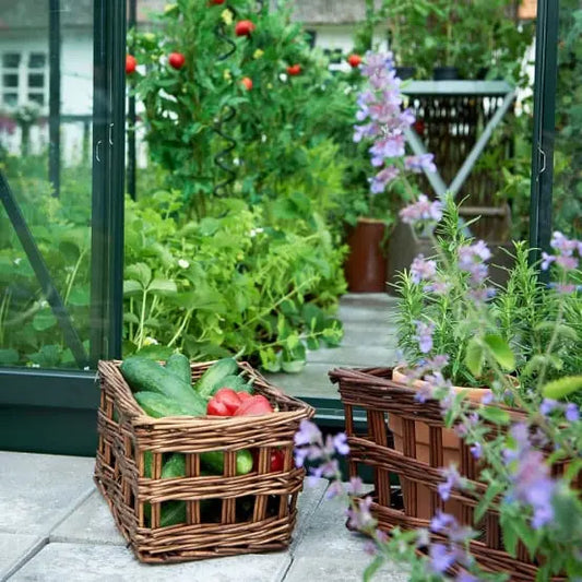 Serre de jardin Supreme verre trempé 5 m² vert + embase - Halls JARDINS LOISIRS
