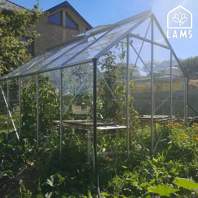 Serre de jardin aluminium et verre trempé LAMS Carvi Merkur 8300 gris, 8.25 m² VERTS LOISIRS
