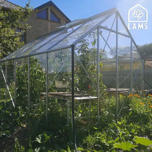 Serre de jardin aluminium et verre trempé LAMS Carvi Merkur 8300 gris, 8.25 m² VERTS LOISIRS
