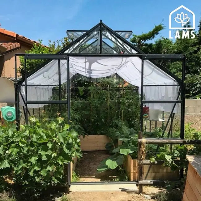 Serre de jardin en verre trempé LAMS laurus uranus, 9.8 m² VERTS LOISIRS