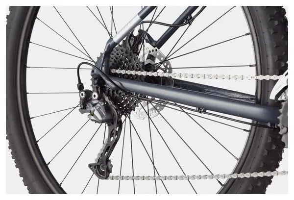 VTT Semi-Rigide Cannondale Trail 6 29 Shimano Alivio/Altus 9V 29'' Gris Slate JARDINS LOISIRS
