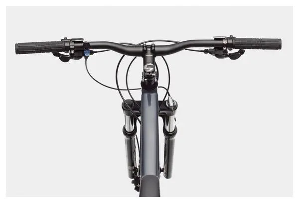 VTT Semi-Rigide Cannondale Trail 6 29 Shimano Alivio/Altus 9V 29'' Gris Slate JARDINS LOISIRS