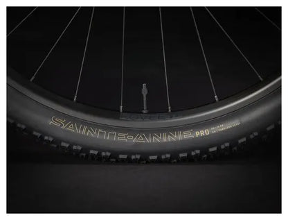 VTT Semi Rigide Trek Procaliber 8 29'' Shimano SLX/XT 12V Gris 2025 JARDINS LOISIRS