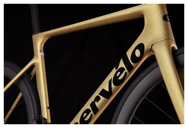 Vélo de Route Cervélo Soloist Shimano Ultegra Di2 12V 700 mm Or Gold Dust 2024 JARDINS LOISIRS