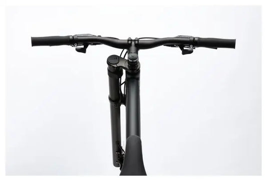 Vélo de Ville Cannondale Bad Boy 3 Shimano Altus 8V Noir JARDINS LOISIRS