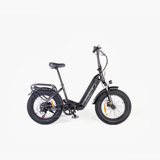 Vélo électrique Biwbik DAKAR JARDINS LOISIRS