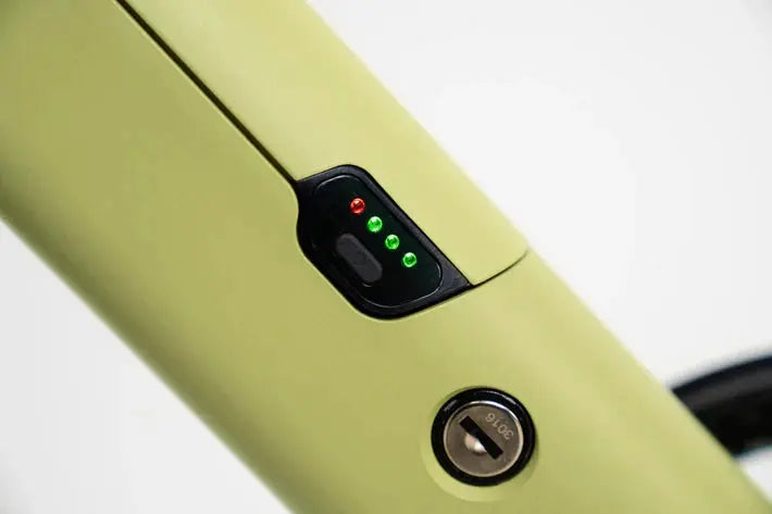 Vélo électrique Tenways CGO600 PRO Ebike VERTS LOISIRS