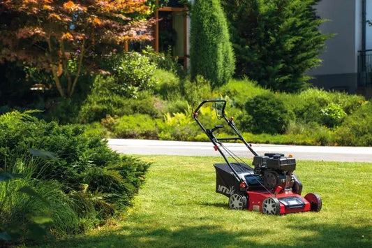 Scarificateur à essence MTD Optima 35vo, 137 cm³, 2400 W JARDINS LOISIRS